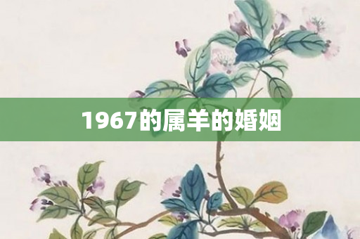 1967的属羊的婚姻