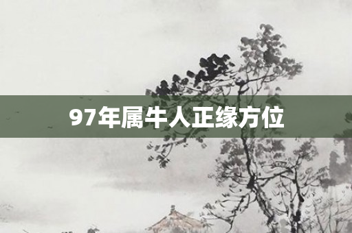 97年属牛人正缘方位