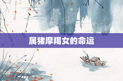 属猪摩羯女的命运