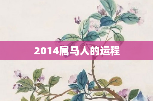 2014属马人的运程