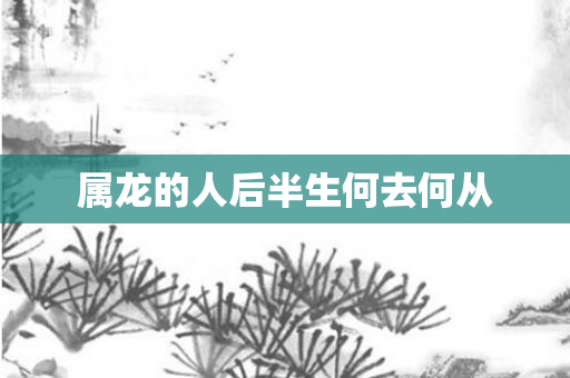属龙的人后半生何去何从