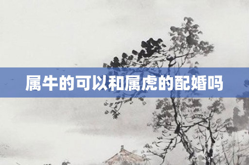 属牛的可以和属虎的配婚吗