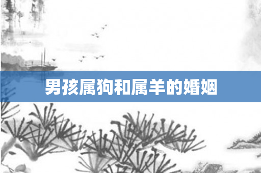 男孩属狗和属羊的婚姻