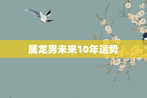 属龙男未来10年运势