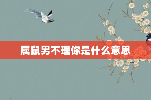属鼠男不理你是什么意思