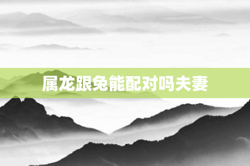 属龙跟兔能配对吗夫妻