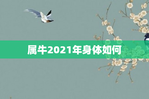属牛2021年身体如何