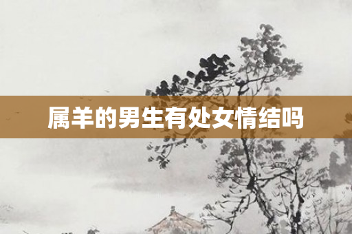 属羊的男生有处女情结吗
