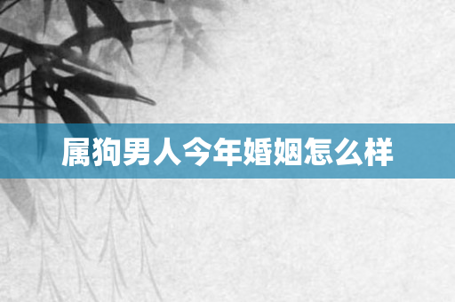 属狗男人今年婚姻怎么样