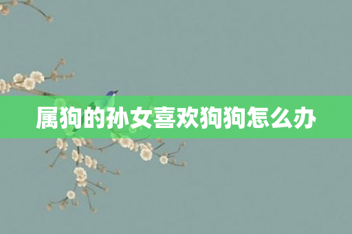 属狗的孙女喜欢狗狗怎么办