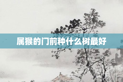 属猴的门前种什么树更好