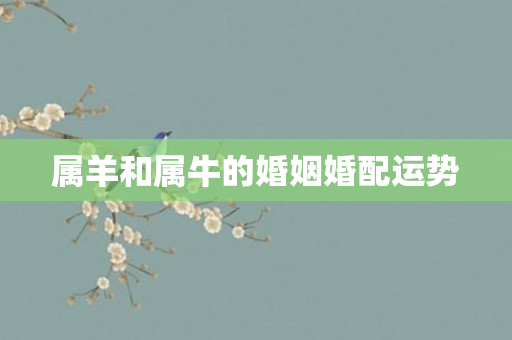 属羊和属牛的婚姻婚配运势
