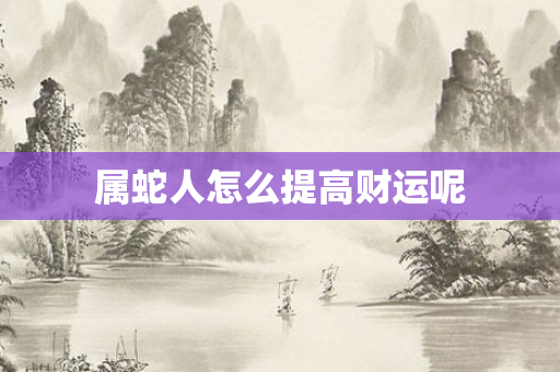 属蛇人怎么提高财运呢