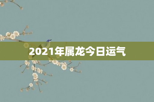 2021年属龙今日运气