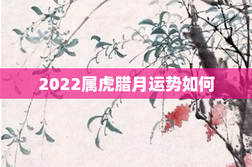 2022属虎腊月运势如何