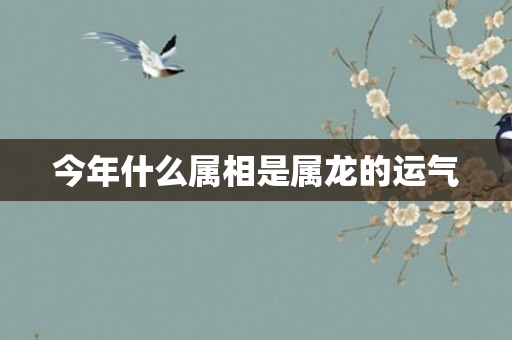 今年什么属相是属龙的运气