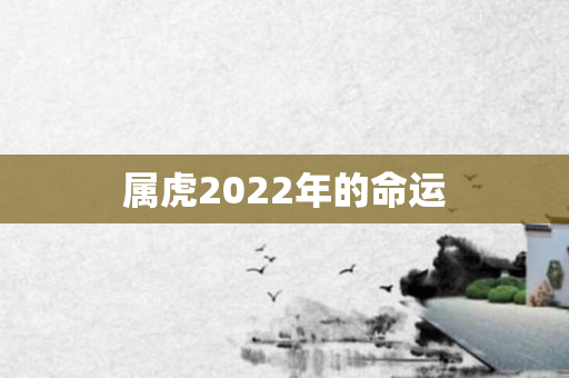 属虎2022年的命运
