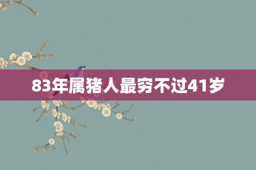 83年属猪人最穷不过41岁