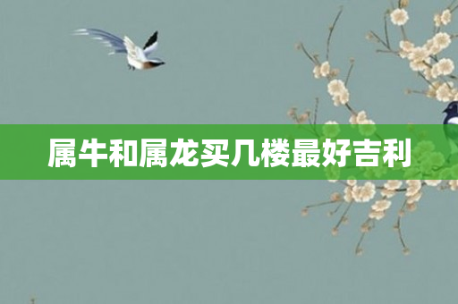 属牛和属龙买几楼更好吉利