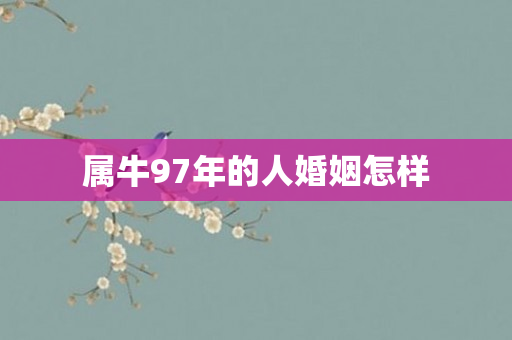 属牛97年的人婚姻怎样