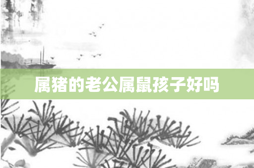 属猪的老公属鼠孩子好吗