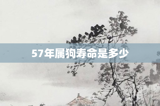 57年属狗寿命是多少