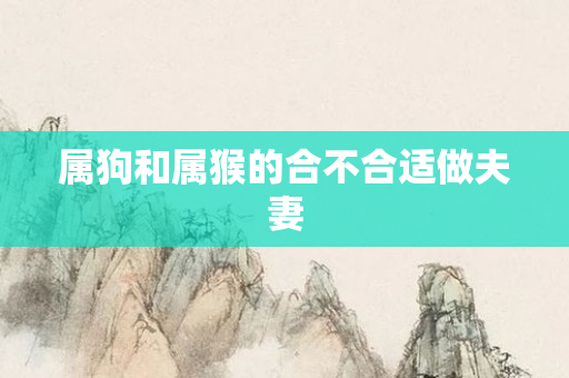属狗和属猴的合不合适做夫妻