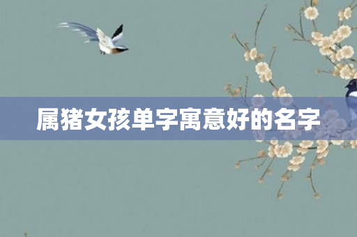 属猪女孩单字寓意好的名字