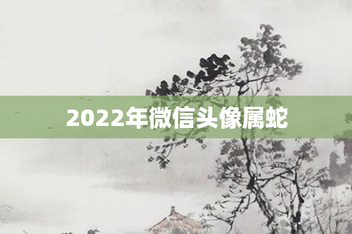 2022年微信头像属蛇