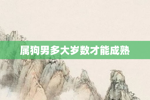 属狗男多大岁数才能成熟