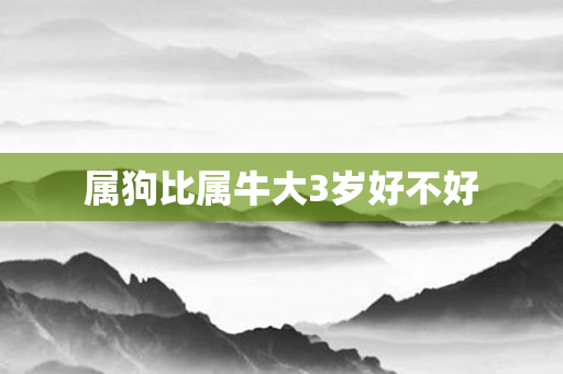 属狗比属牛大3岁好不好