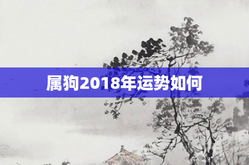 属狗2018年运势如何