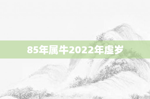 85年属牛2022年虚岁