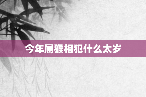 今年属猴相犯什么太岁