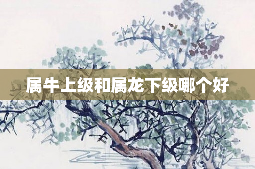 属牛上级和属龙下级哪个好