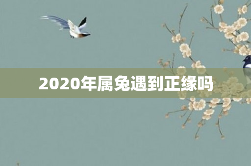 2020年属兔遇到正缘吗