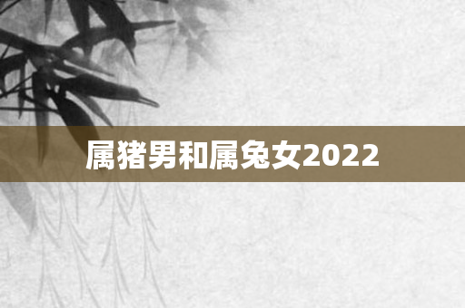 属猪男和属兔女2022