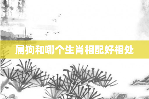 属狗和哪个生肖相配好相处
