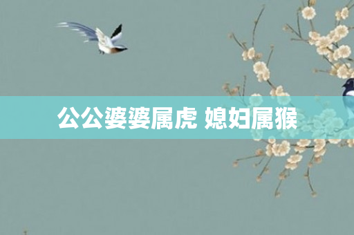公公婆婆属虎 媳妇属猴