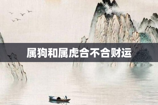 属狗和属虎合不合财运