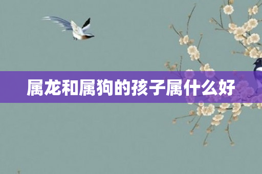 属龙和属狗的孩子属什么好