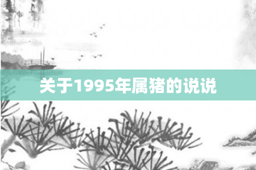 关于1995年属猪的说说