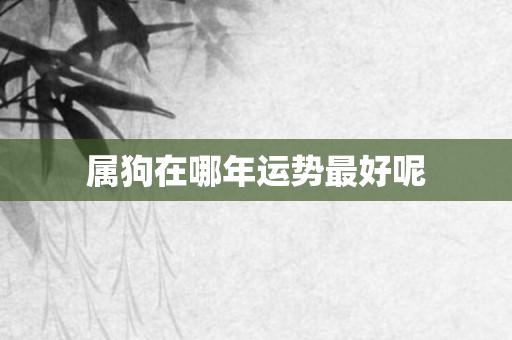 属狗在哪年运势更好呢