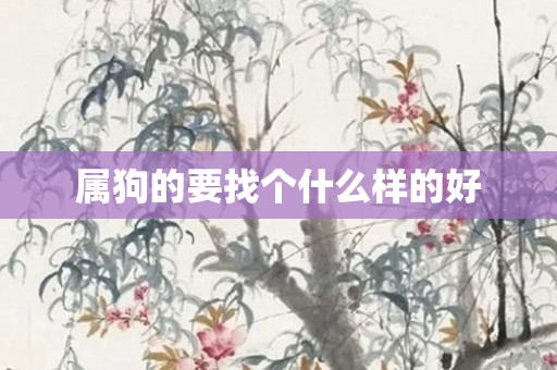 属狗的要找个什么样的好