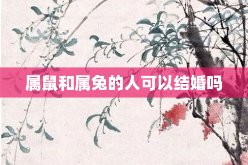 属鼠和属兔的人可以结婚吗