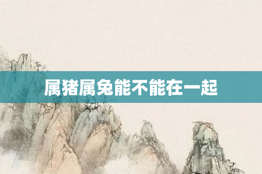 属猪属兔能不能在一起