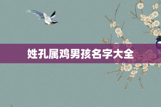 姓孔属鸡男孩名字大全