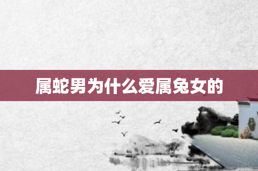 属蛇男为什么爱属兔女的
