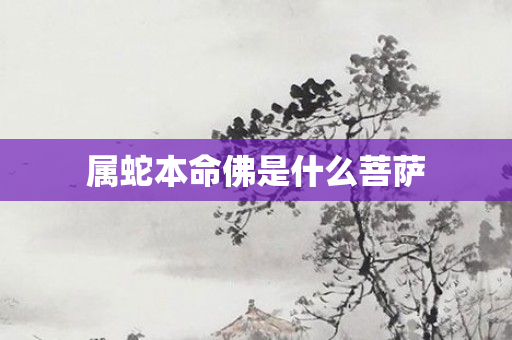 属蛇本命佛是什么菩萨