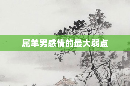 属羊男感情的更大弱点